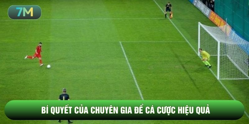 Bí quyết của chuyên gia để cá cược hiệu quả