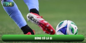 Bóng Cỏ Là Gì
