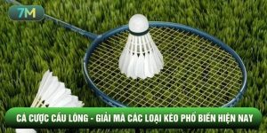 Cá cược cầu lông