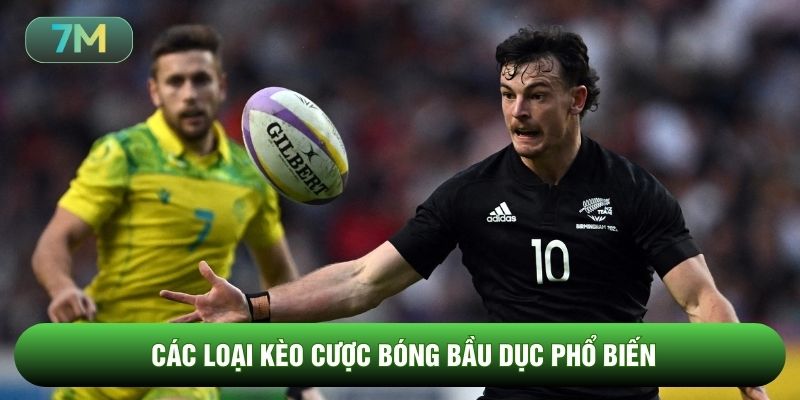 Các loại kèo cược bóng bầu dục phổ biến