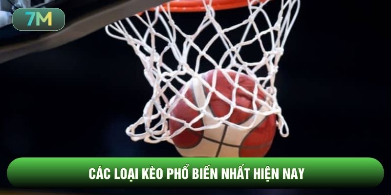 Các loại kèo phổ biến nhất hiện nay