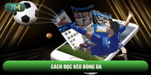 Cách đọc kèo bóng đá