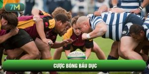 cược bóng bầu dục