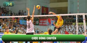 Cược bóng chuyền