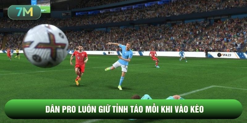 Dân Pro luôn giữ tỉnh táo mỗi khi vào kèo