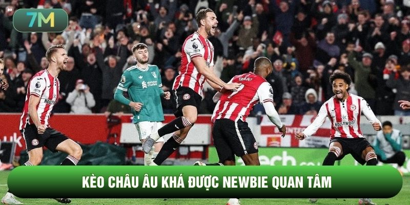 Kèo châu Âu khá được newbie quan tâm