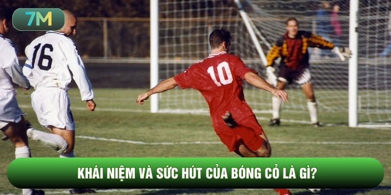 Khái niệm và sức hút của bóng cỏ là gì