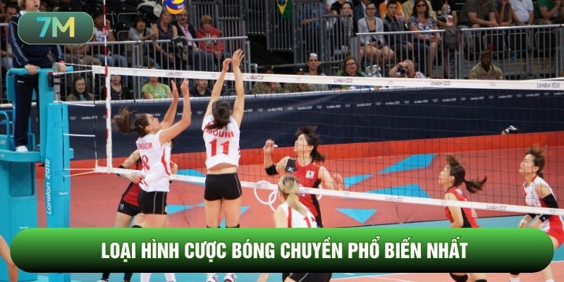 Loại hình cược bóng chuyền phổ biến nhất