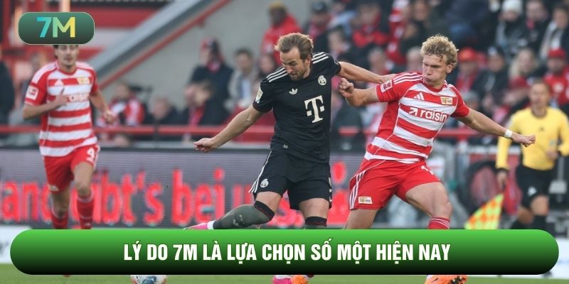 Lý do 7m là lựa chọn số một hiện nay