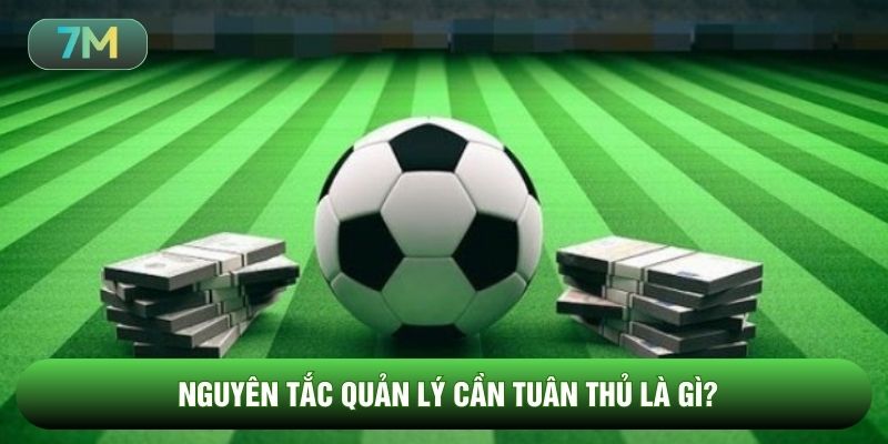 Nguyên tắc quản lý cần tuân thủ là gì