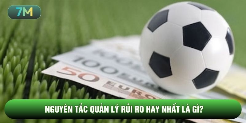 Nguyên tắc quản lý rủi ro hay nhất là gì