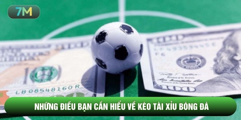 Những điều bạn cần hiểu về kèo tài xỉu bóng đá