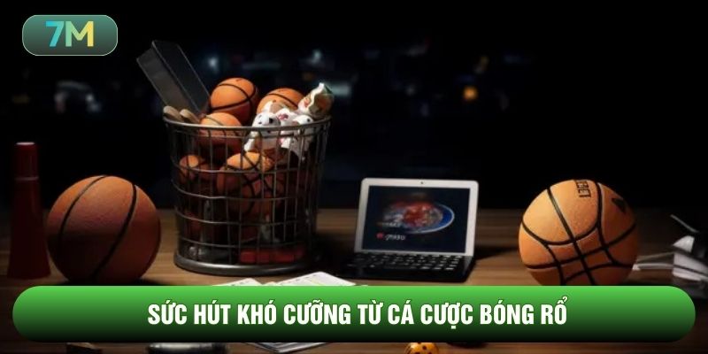 Sức hút khó cưỡng từ cá cược bóng rổ