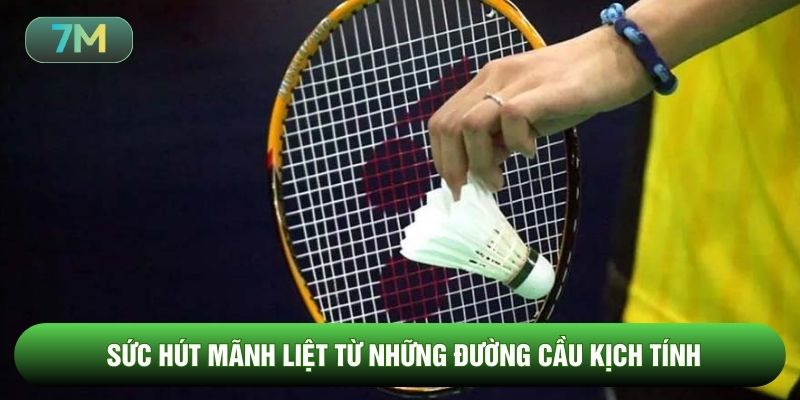 Sức hút mãnh liệt từ những đường cầu kịch tính