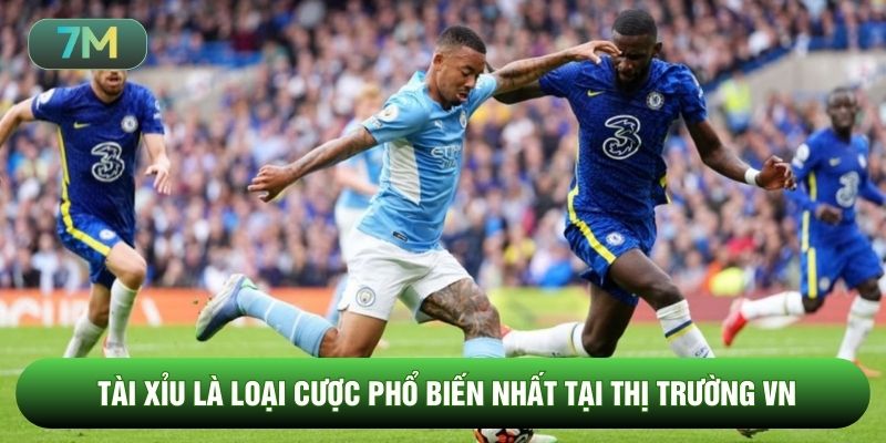 Tài xỉu là loại cược phổ biến nhất tại thị trường VN