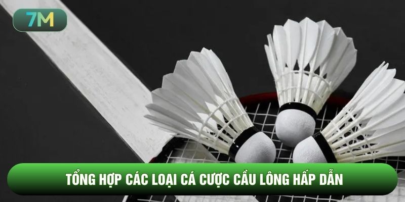 Tổng hợp các loại cá cược cầu lông hấp dẫn