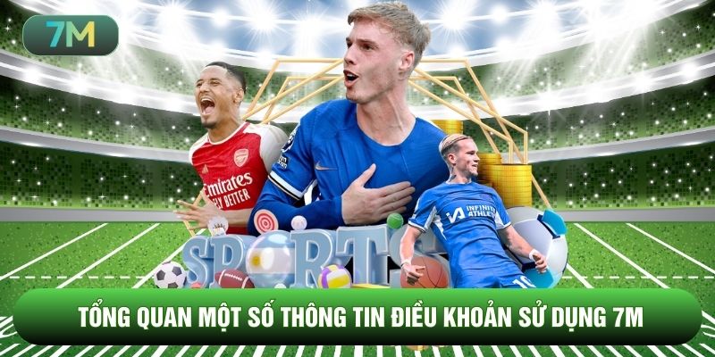 Tổng quan một số thông tin liên quan điều khoản sử dụng 7M