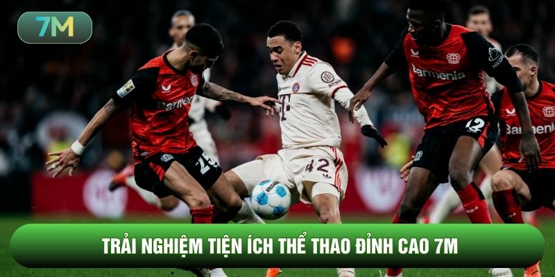 Trải nghiệm tiện ích thể thao đỉnh cao 7m