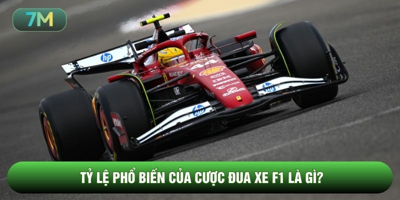 Tỷ lệ phổ biến của cược đua xe F1 là gì